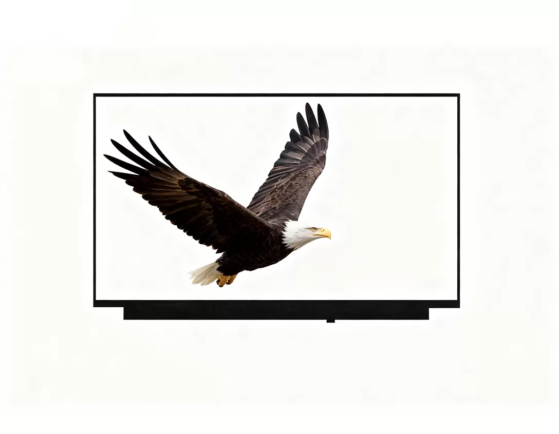 노트북 디스플레이 14 인치