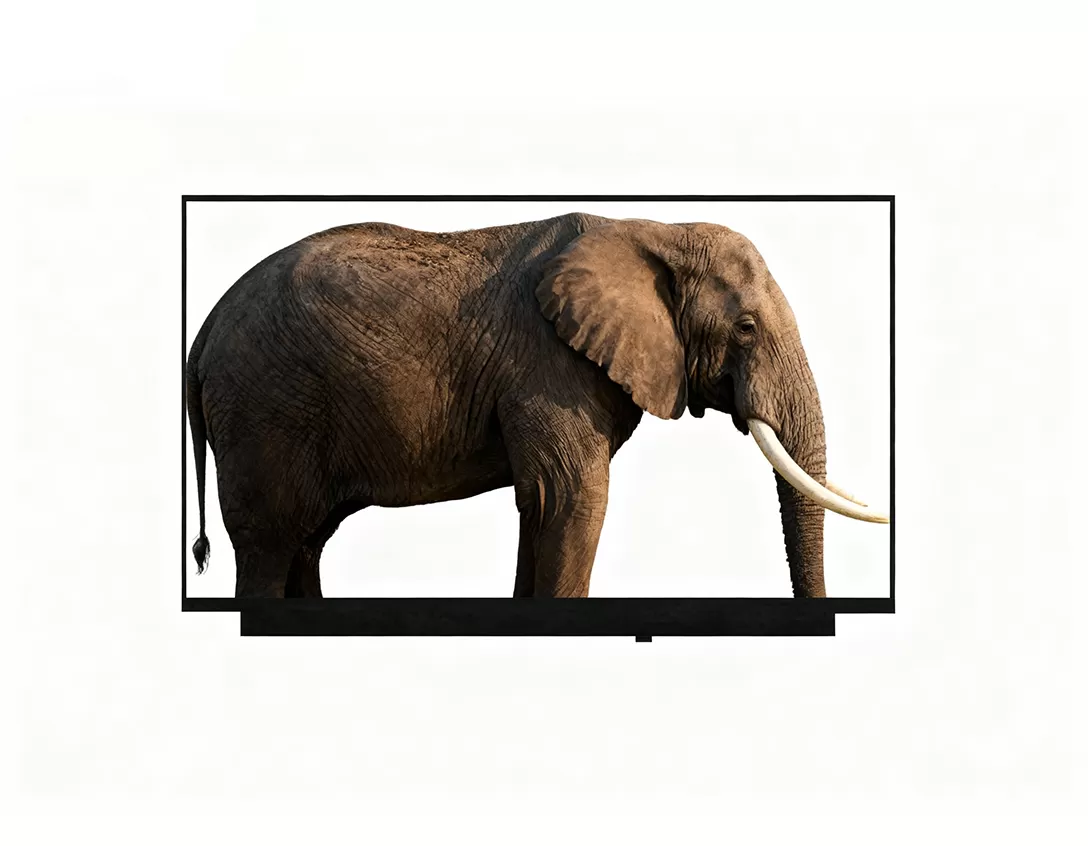 14 인치 디스플레이