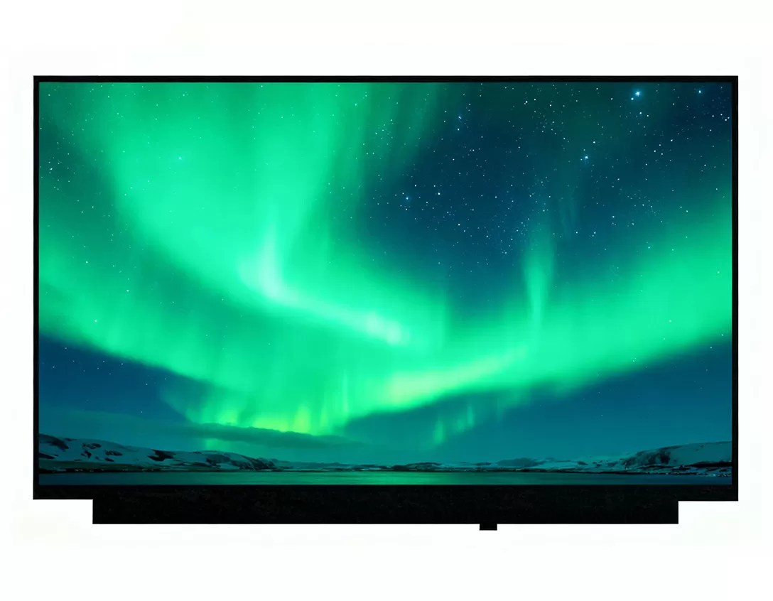 디스플레이 15.6 fhd