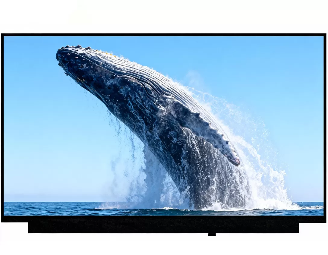 디스플레이 15.6 인치