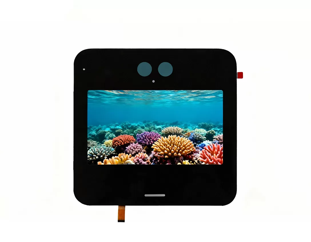 5 인치 디스플레이