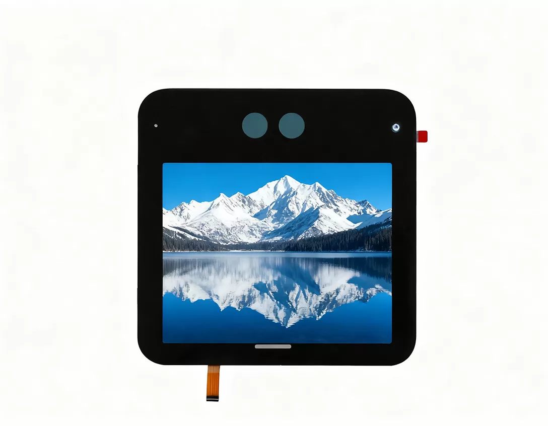 5 인치 디스플레이 크기