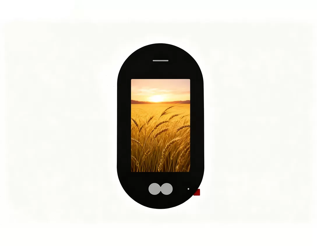 6 인치 디스플레이