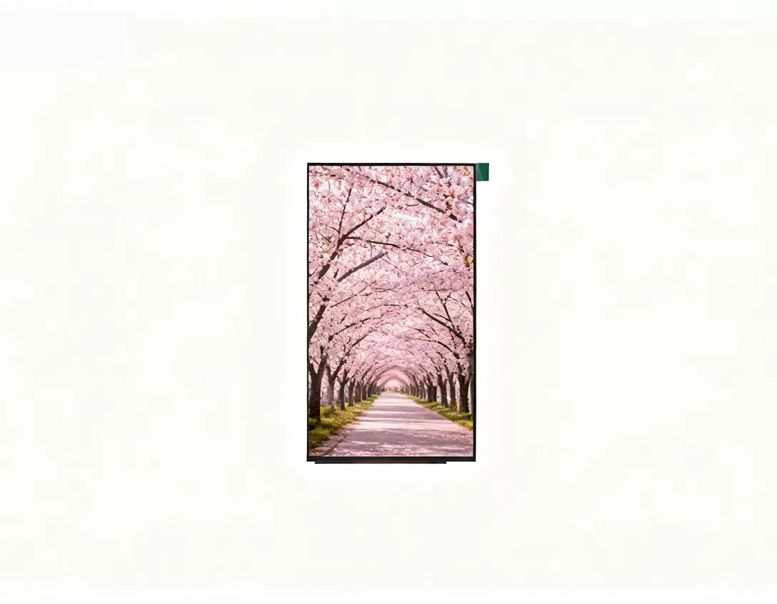 6.95 인치 디스플레이