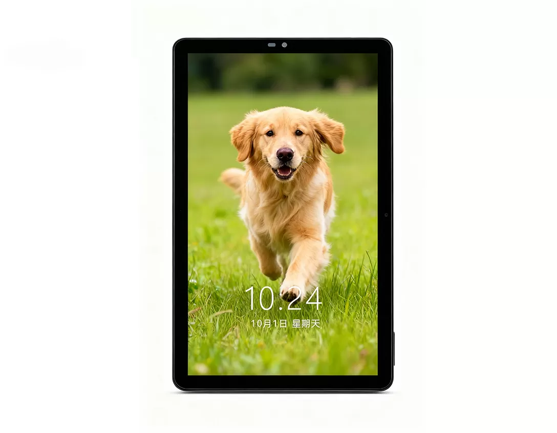 8 인치 디스플레이