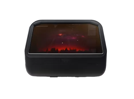 라이트 필드 디스플레이