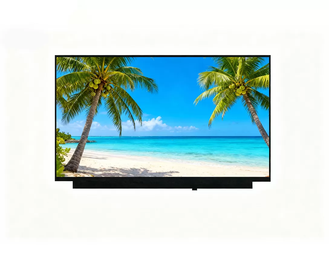 11.6 인치 디스플레이