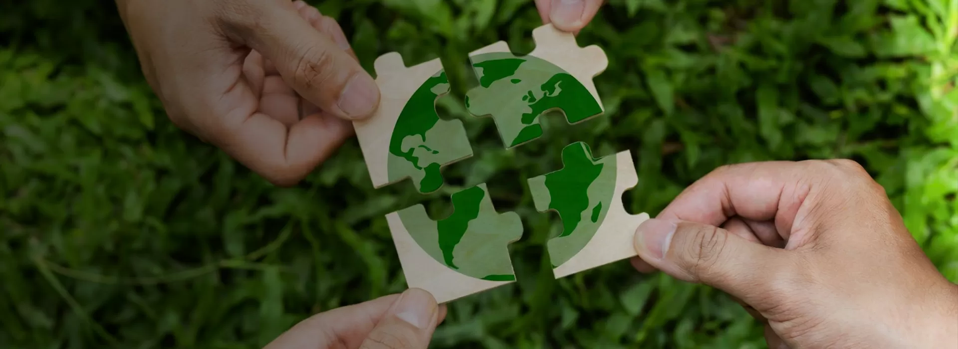 K & D 디스플레이의 지속 가능성