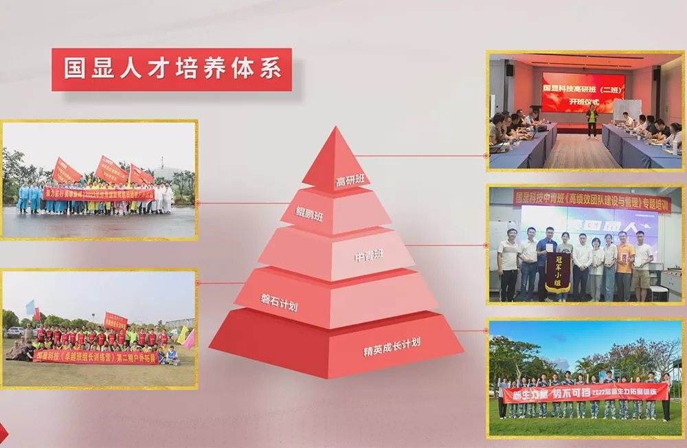 K & D 인재 개발 시스템